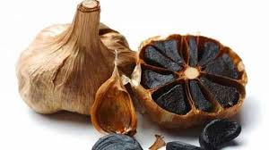 قیمت خرید سیر سیاه ارگانیک درجه یک + فروش صادراتی